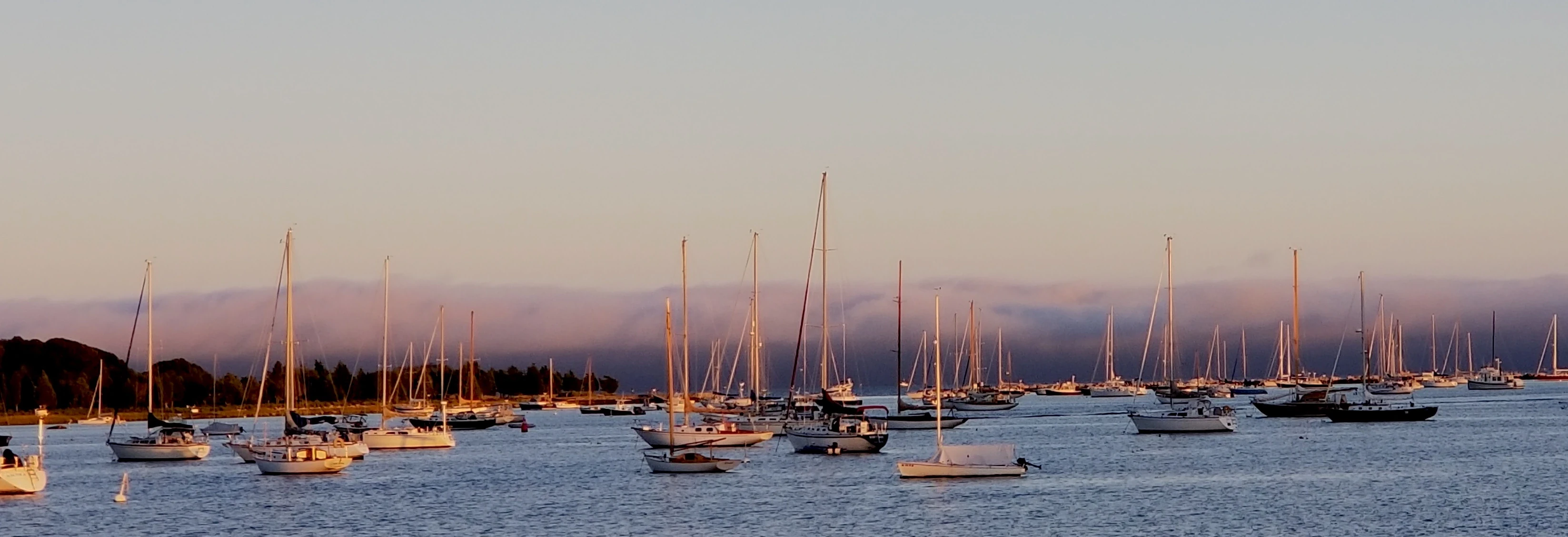 Header image for Beacon Hill Village showing the beautiful Boston skyline